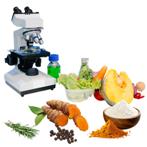 Flavor Crave Consulting Food Lab